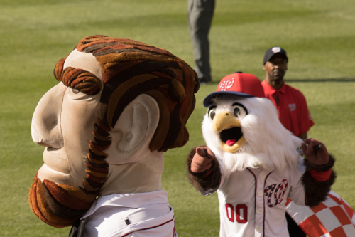 Mascot Race, Nationals Stadium, Washington DC (2018)